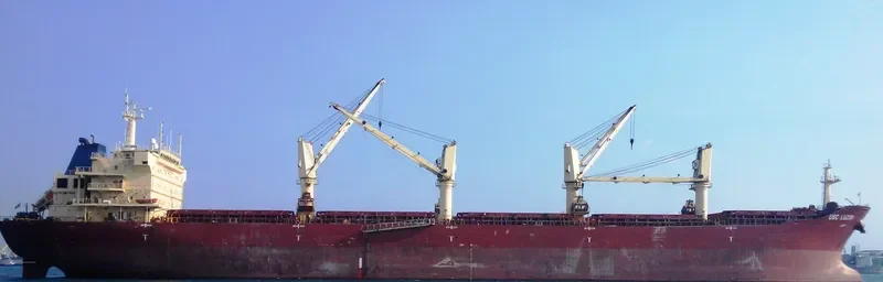 EVANS Bulk Carrier IMO 9395240 photo 5