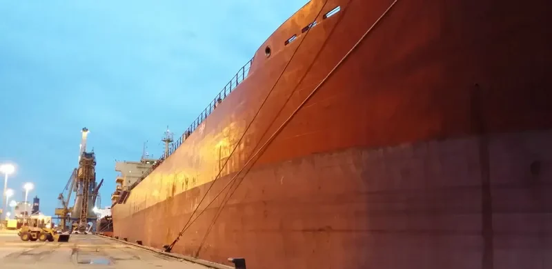 CRESTONE Bulk Carrier IMO 9395252