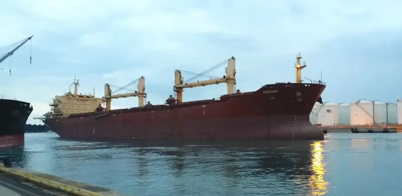 CRESTONE Bulk Carrier IMO 9395252 photo 3