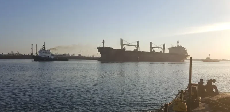 CRESTONE Bulk Carrier IMO 9395252 photo 4