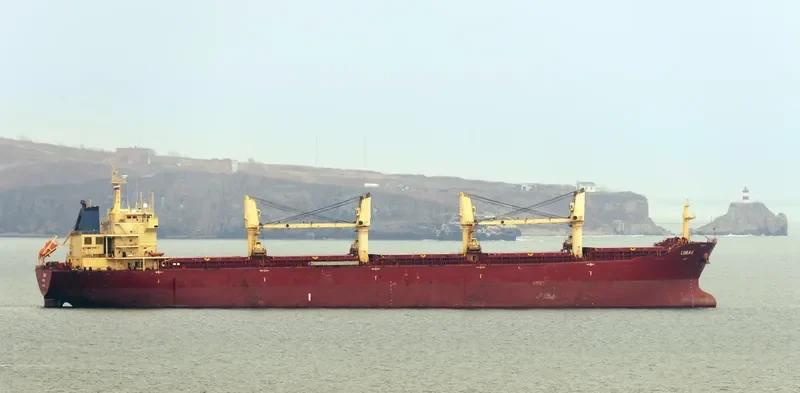 CRESTONE Bulk Carrier IMO 9395252 photo 7