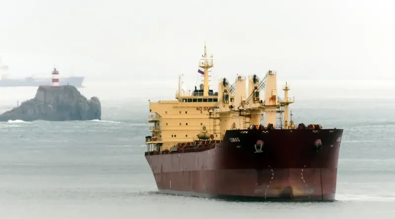 CRESTONE Bulk Carrier IMO 9395252 photo 9