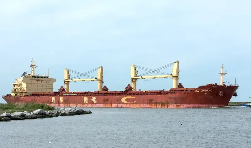 EOLUS Bulk Carrier IMO 9395264 photo 5
