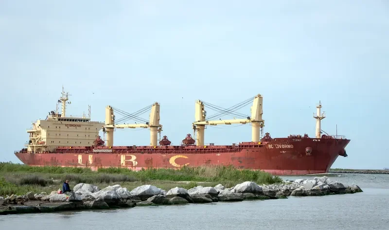 EOLUS Bulk Carrier IMO 9395264 photo 6