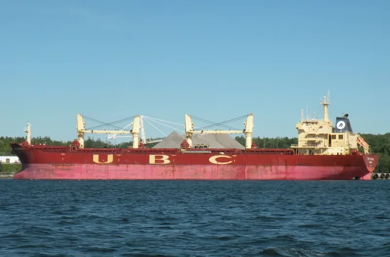 EOLUS Bulk Carrier IMO 9395264 photo 8