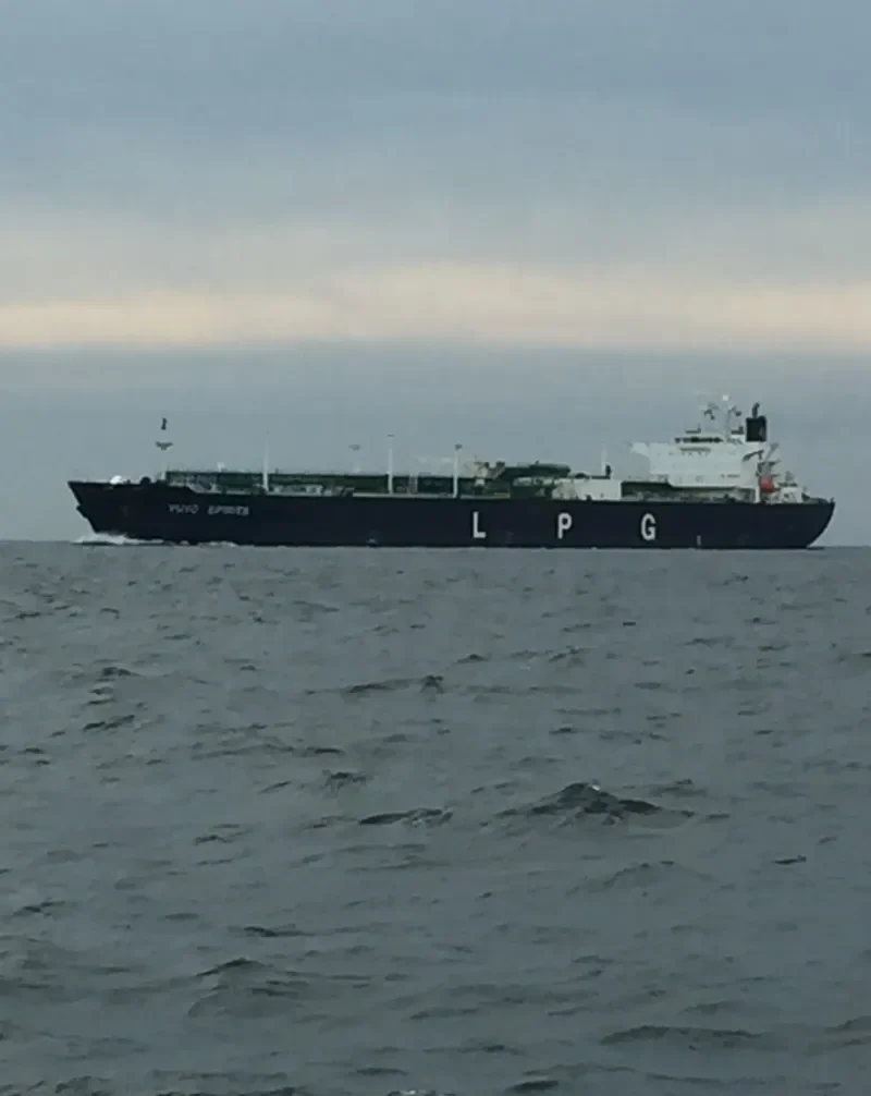 YUYO SPIRITS General Cargo IMO 9395501