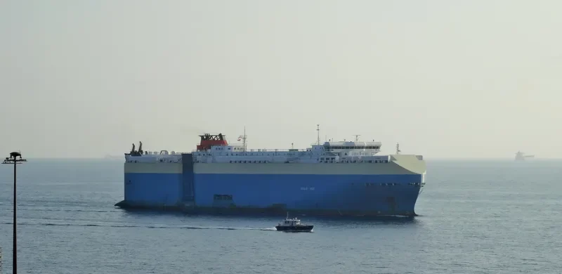 VIOLET ACE General Cargo IMO 9395630 photo 2