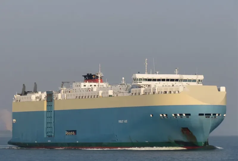 VIOLET ACE General Cargo IMO 9395630 photo 5