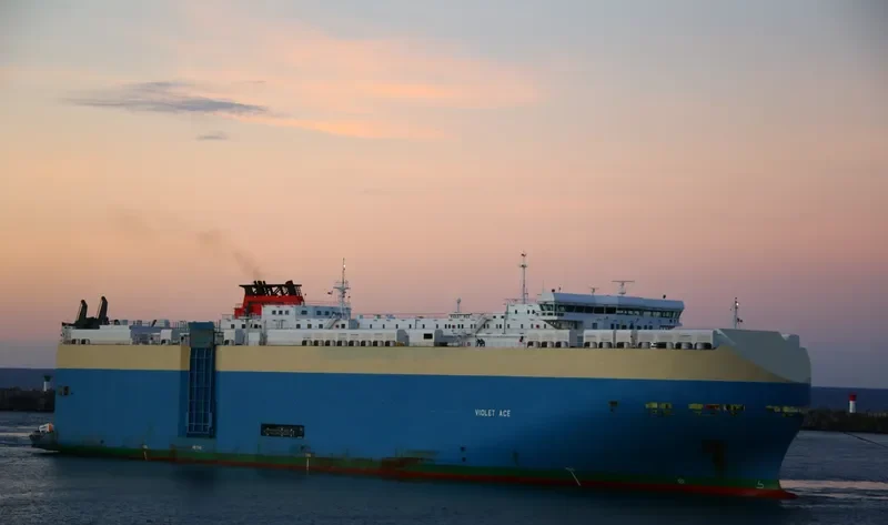 VIOLET ACE General Cargo IMO 9395630 photo 7