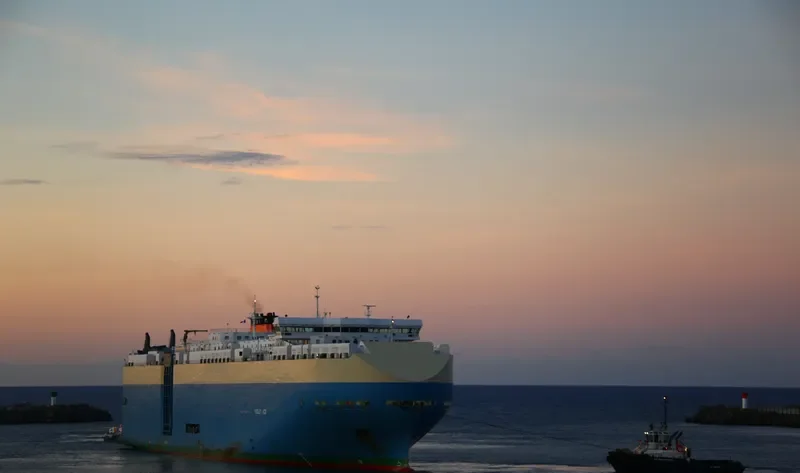 VIOLET ACE General Cargo IMO 9395630 photo 8