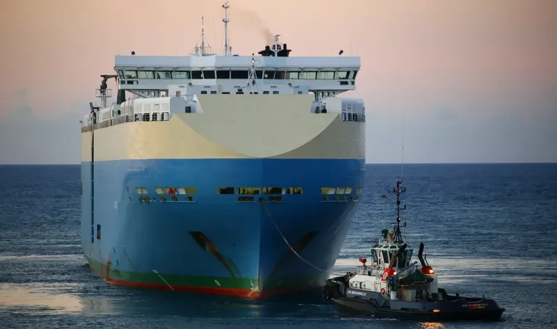 VIOLET ACE General Cargo IMO 9395630 photo 9
