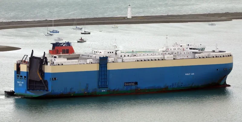 VIOLET ACE General Cargo IMO 9395630 photo 10