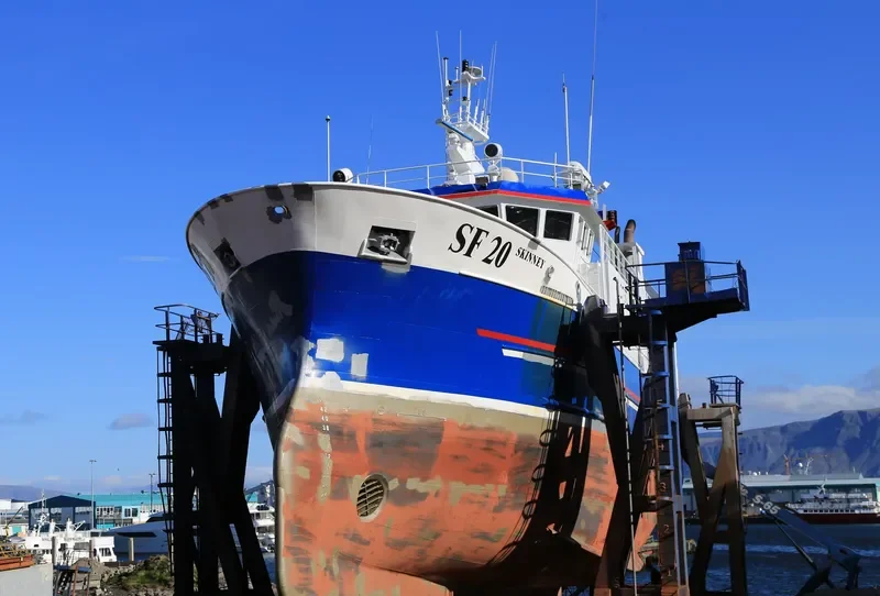 SKINNEY General Cargo IMO 9395898 photo 2