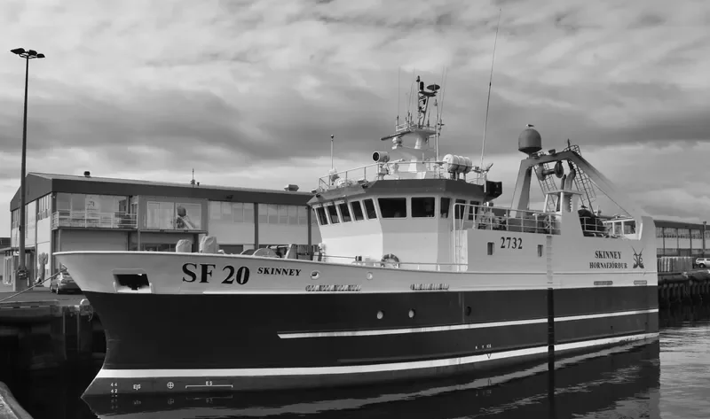 SKINNEY General Cargo IMO 9395898 photo 5