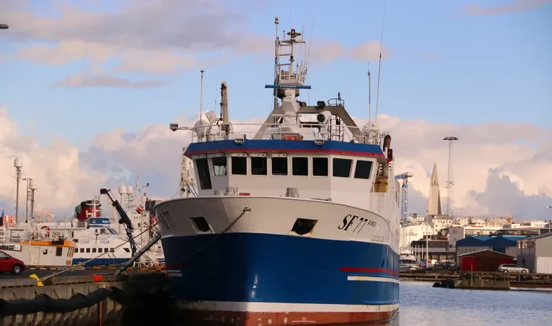 THORIR General Cargo IMO 9395903