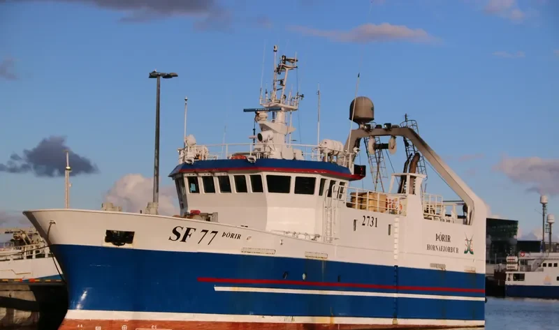 THORIR General Cargo IMO 9395903 photo 2