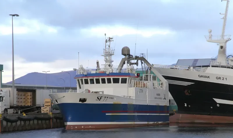 THORIR General Cargo IMO 9395903 photo 3
