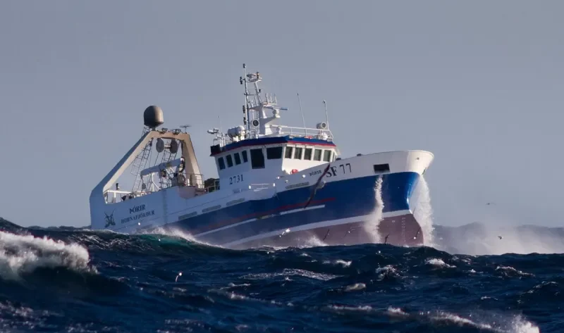 THORIR General Cargo IMO 9395903 photo 5