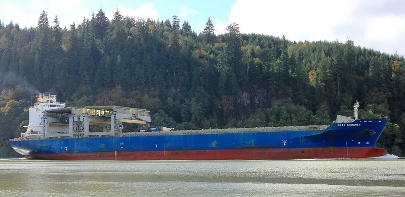 STAR KIRKENES Container Ship IMO 9396127 photo 7