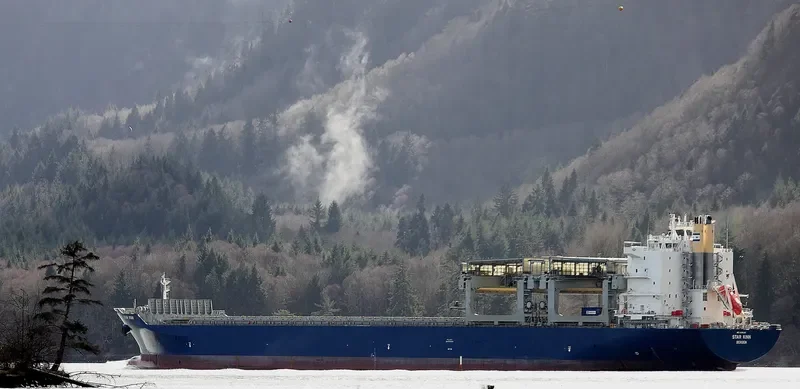 STAR KINN Container Ship IMO 9396141 photo 10