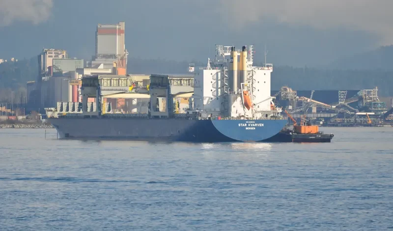 STAR KVARVEN Container Ship IMO 9396153 photo 9