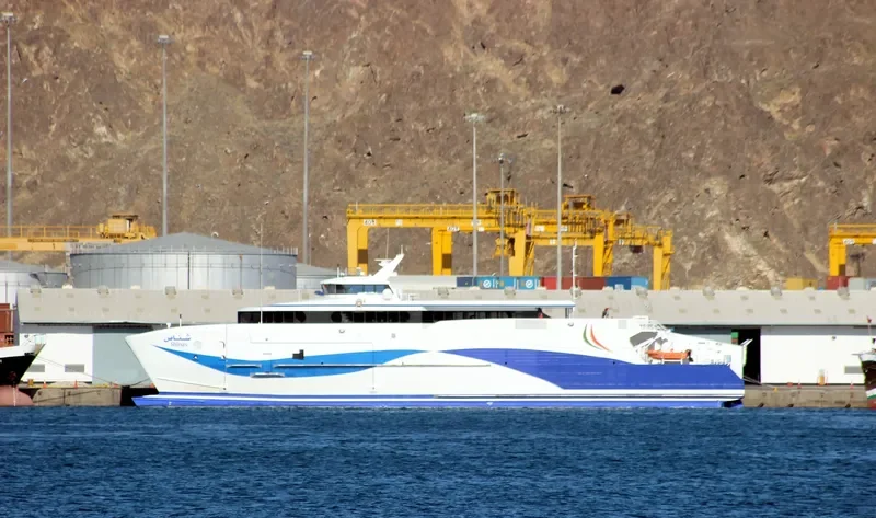 HANIL BLUE NARAE Ro-Ro IMO 9396177 photo 3