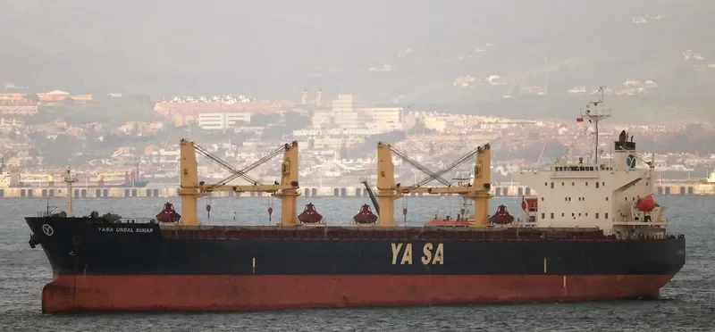 YASA UNSAL SUNAR Bulk Carrier IMO 9396206 photo 5