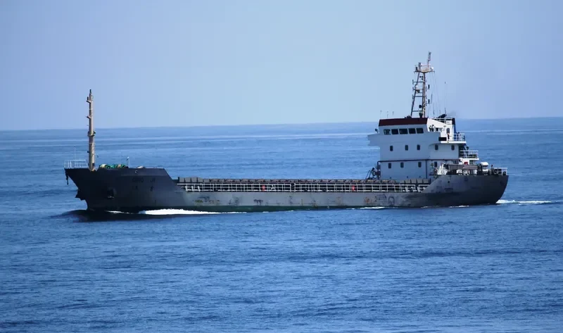 QING JI Bulk Carrier IMO 9396256