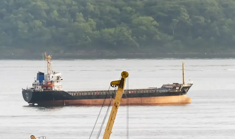 QING JI Bulk Carrier IMO 9396256 photo 5
