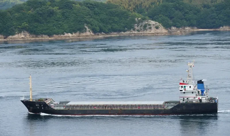 QING JI Bulk Carrier IMO 9396256 photo 7