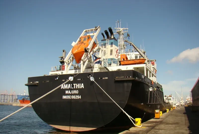 AMALTHIA General Cargo IMO 9396294 photo 6