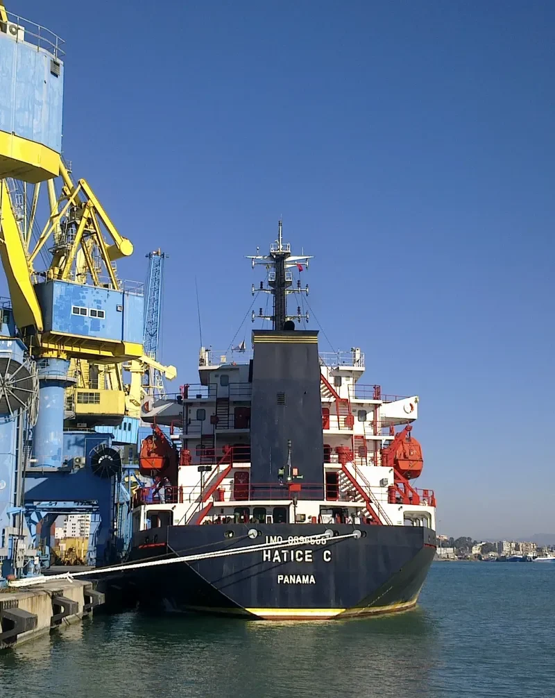 HATICE C Bulk Carrier IMO 9396555