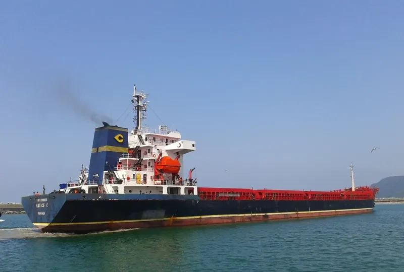 HATICE C Bulk Carrier IMO 9396555 photo 9