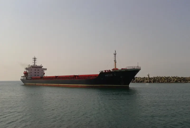 HATICE C Bulk Carrier IMO 9396555 photo 10