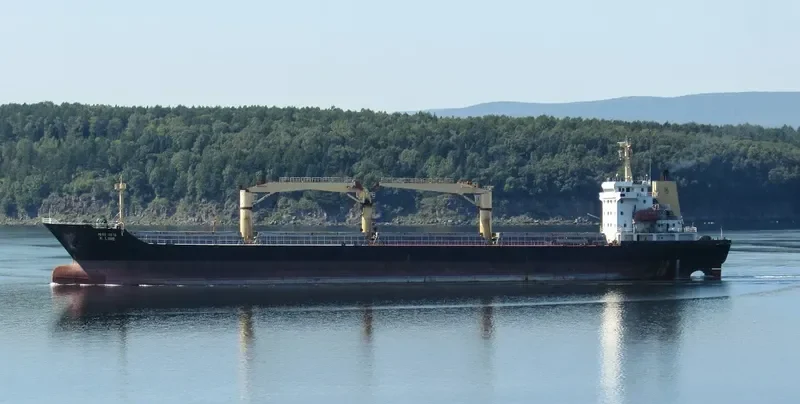 SMARTA Bulk Carrier IMO 9396567 photo 2