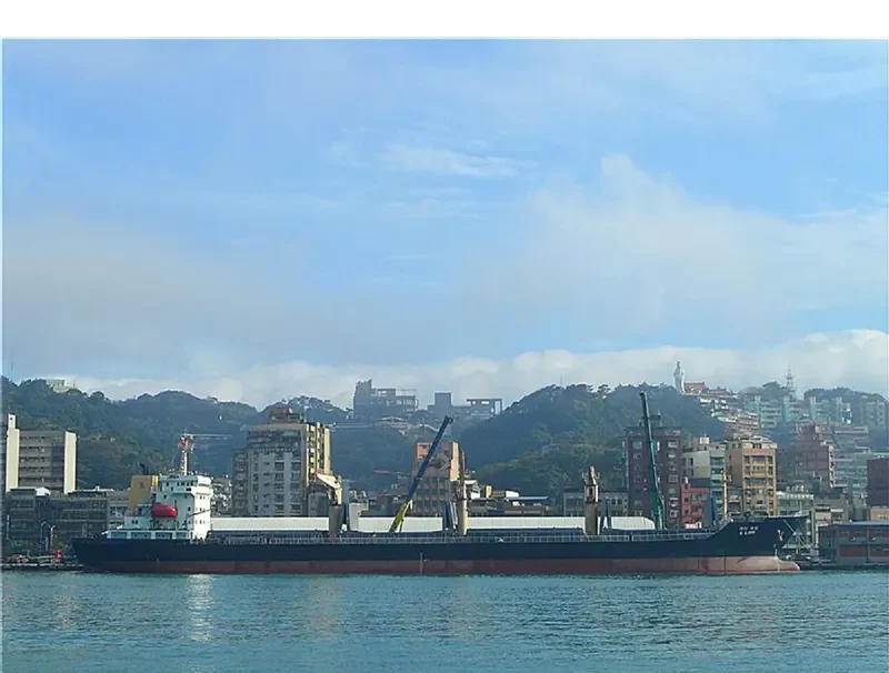 SMARTA Bulk Carrier IMO 9396567 photo 3