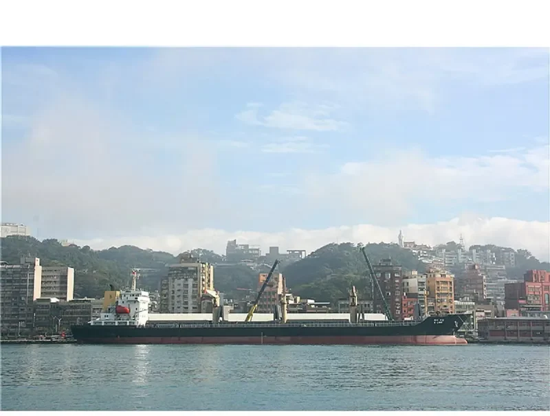 SMARTA Bulk Carrier IMO 9396567 photo 6