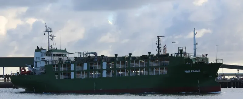 NINE EAGLE General Cargo IMO 9397092