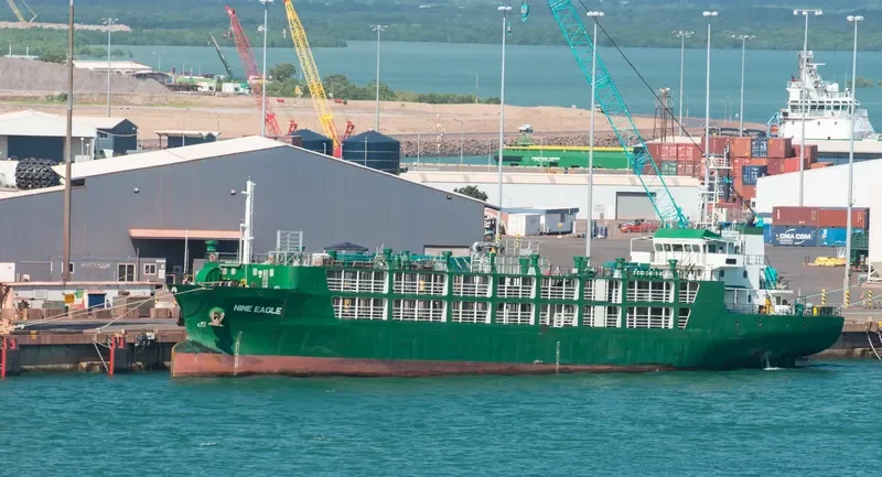 NINE EAGLE General Cargo IMO 9397092 photo 2