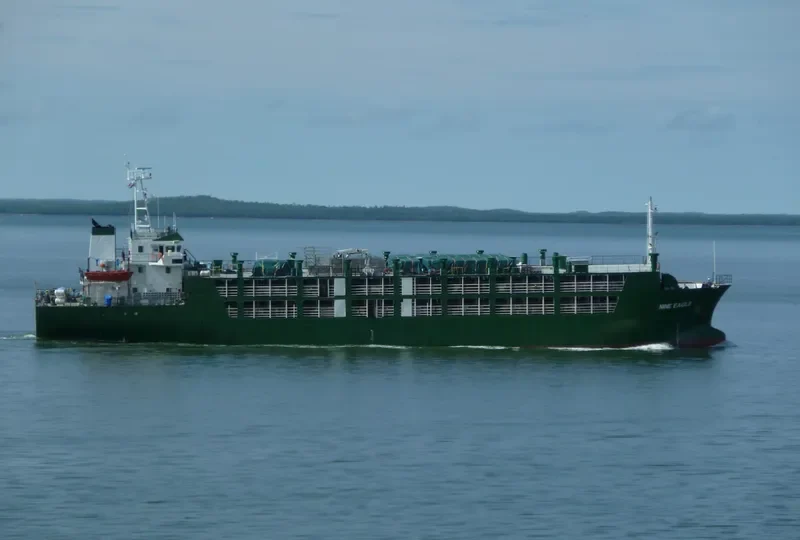 NINE EAGLE General Cargo IMO 9397092 photo 3