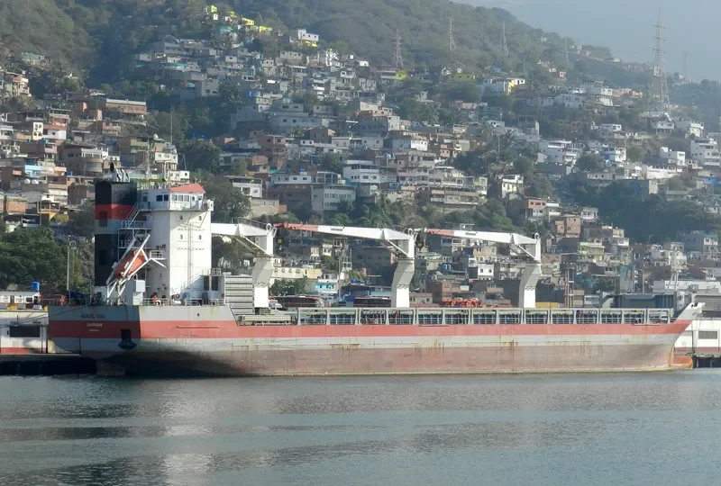 MANUEL GUAL General Cargo IMO 9397183 photo 5