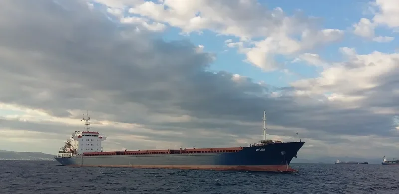 SUPRA Bulk Carrier IMO 9397200 photo 4