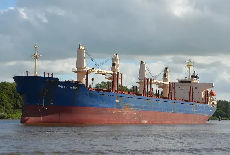 AGIA TRIADA Bulk Carrier IMO 9397236 photo 6