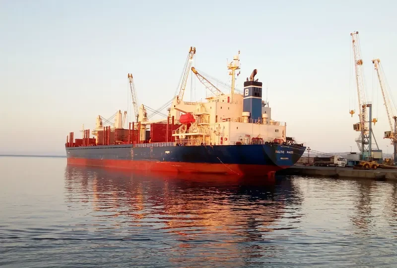 AGIA TRIADA Bulk Carrier IMO 9397236 photo 8
