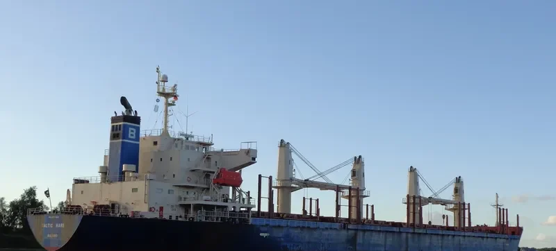 AGIA TRIADA Bulk Carrier IMO 9397236 photo 10