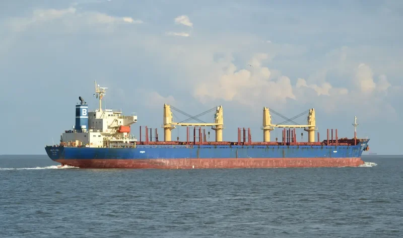 BALTIC FOX Bulk Carrier IMO 9397248