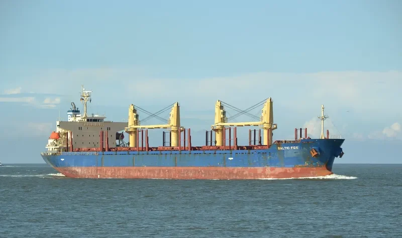 BALTIC FOX Bulk Carrier IMO 9397248 photo 2