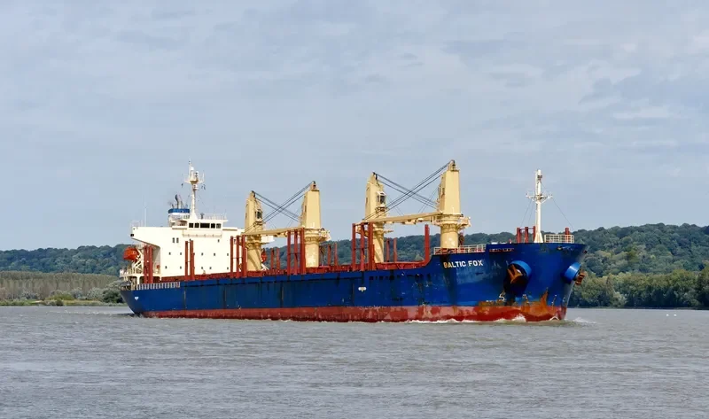 BALTIC FOX Bulk Carrier IMO 9397248 photo 3