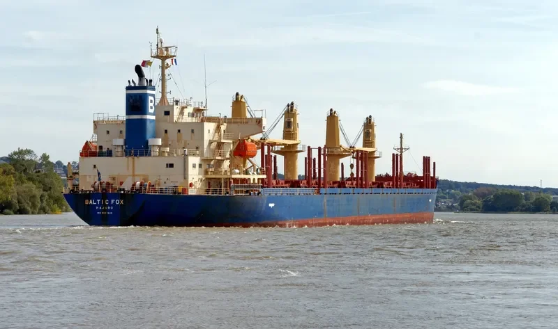 BALTIC FOX Bulk Carrier IMO 9397248 photo 4