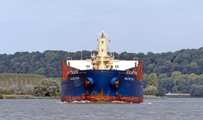 BALTIC FOX Bulk Carrier IMO 9397248 photo 5